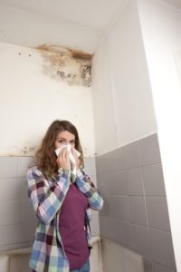 mold remdiation