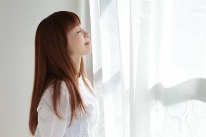fresh indoor air window
