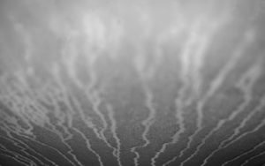 excess humidity in the home