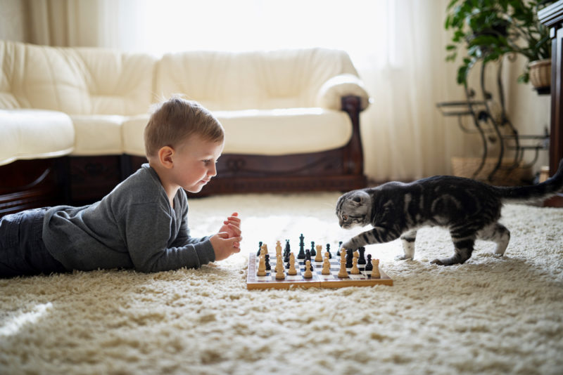 pet health and hvac