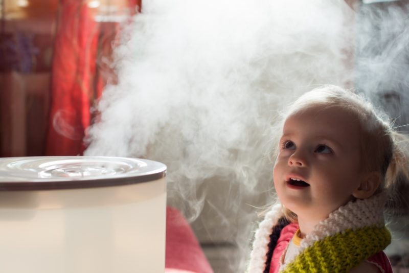 types of humidifiers for your Savannah home