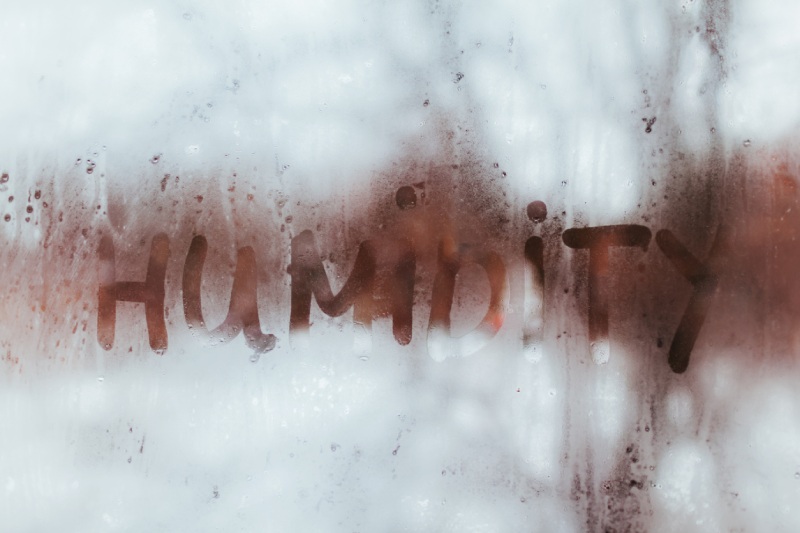 3 Reasons to Control Home Humidity in Savannah, GA
